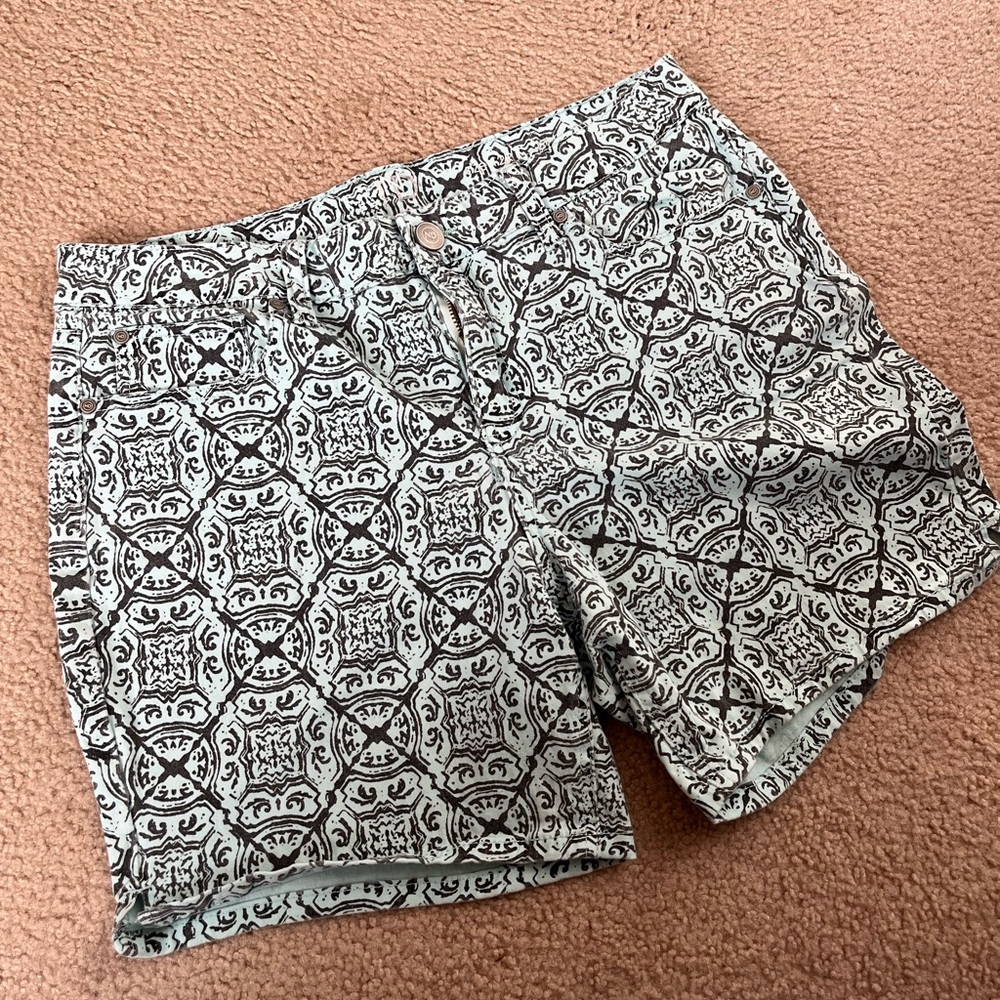 Comfortable Turquoise and Brown Shorts